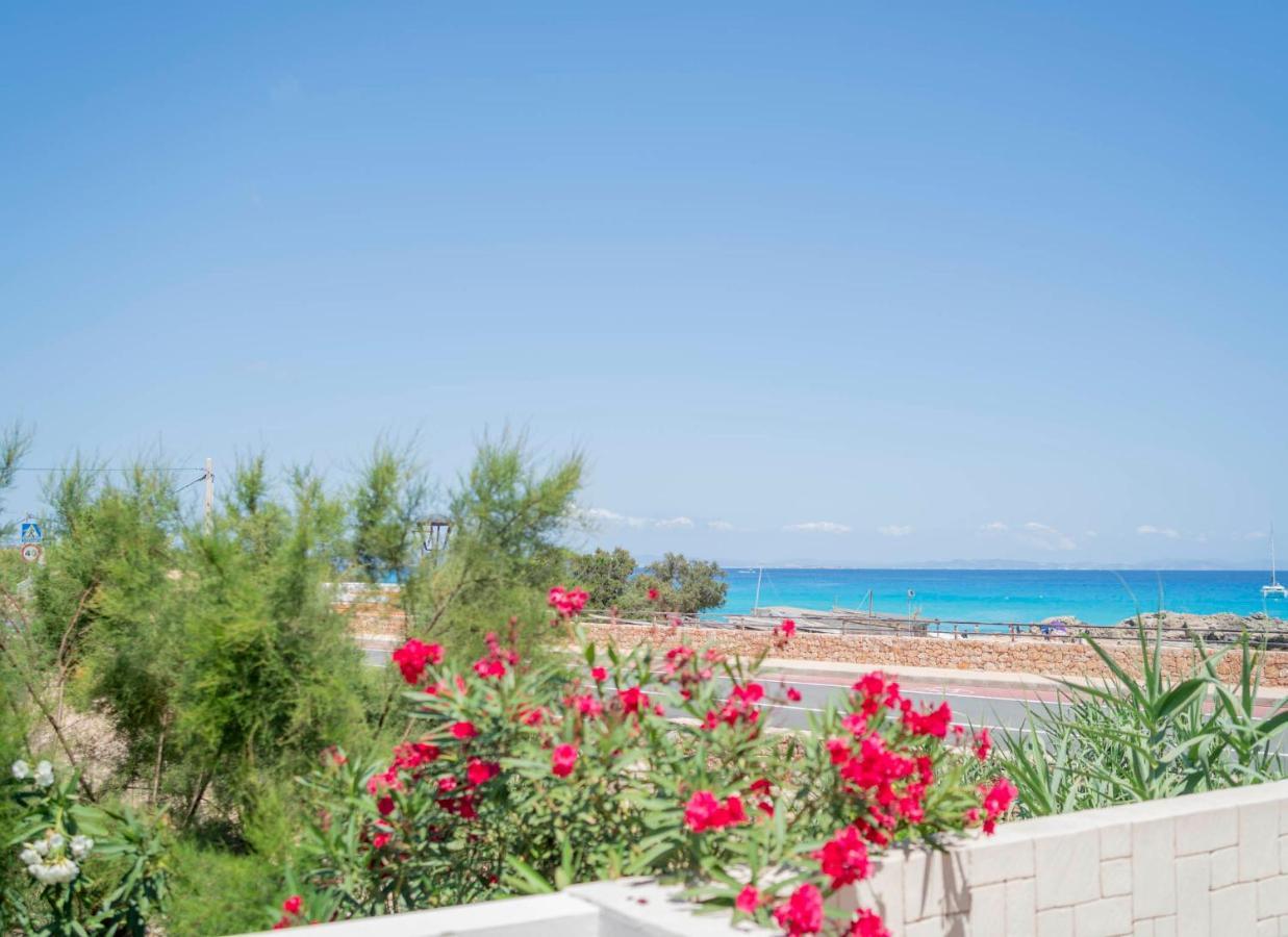 Cavall De Llevant - Formentera Break Es Calo  Εξωτερικό φωτογραφία